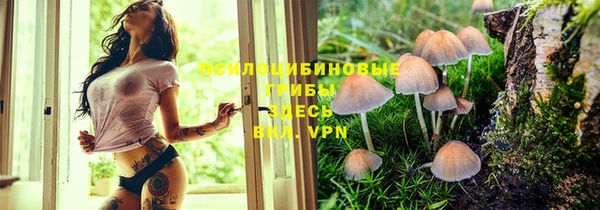 соль ск Нягань